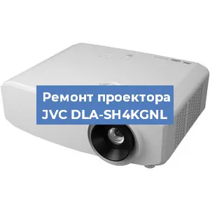 Замена поляризатора на проекторе JVC DLA-SH4KGNL в Белгороде